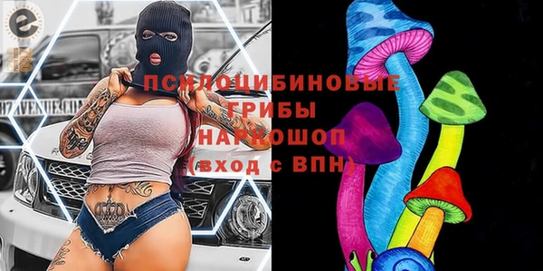 твердый Богородск