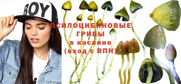 стафф Богородицк