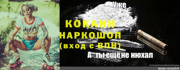 спиды Белокуриха