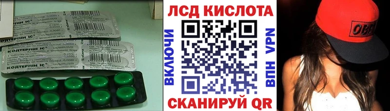 где купить наркоту  Городовиковск  ЛСД экстази ecstasy 