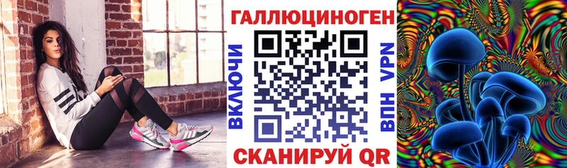 Галлюциногенные грибы мицелий  Городовиковск 